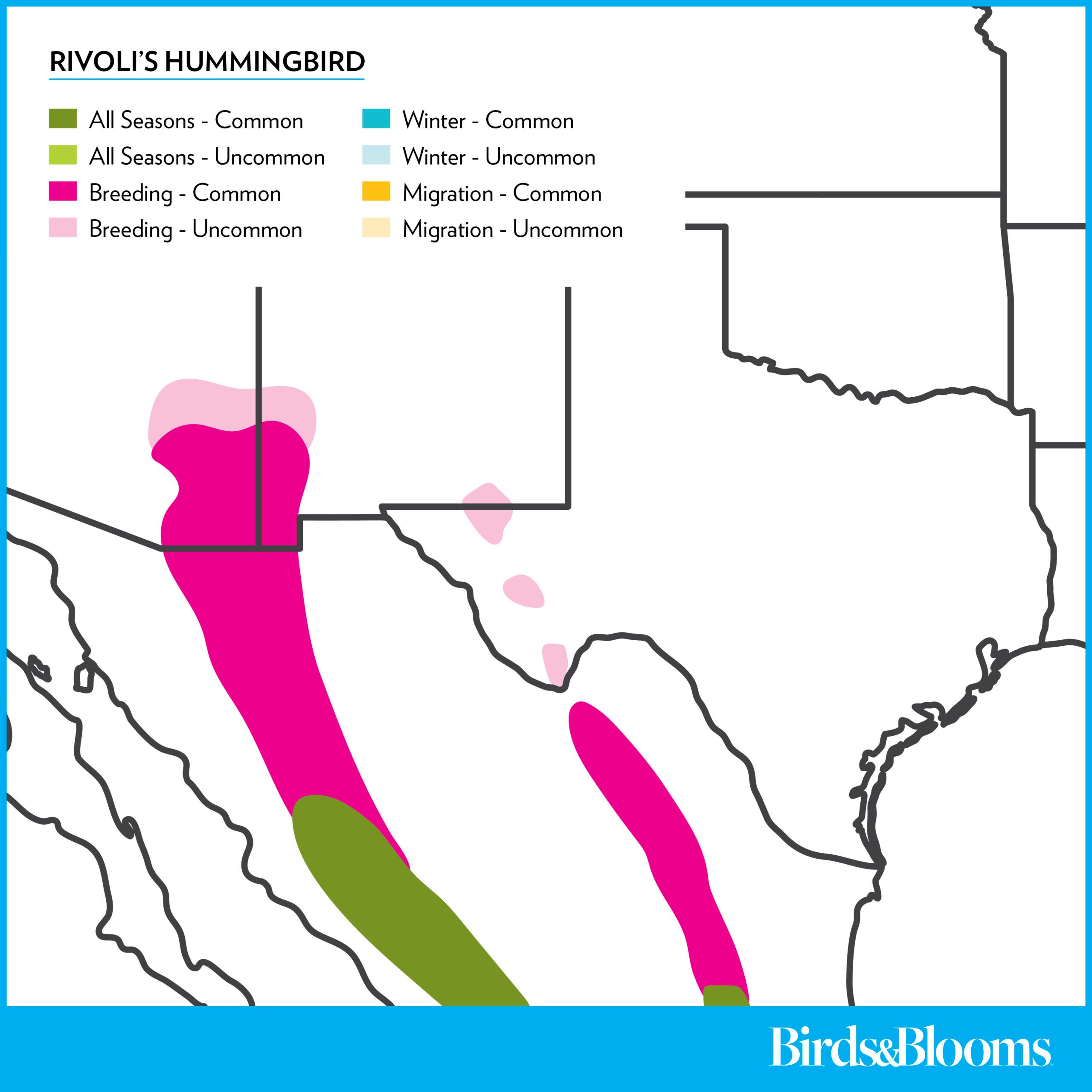 Rivolishummingbird Rangemap 2025