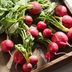 Top 10 Vegetables That Grow in Shade