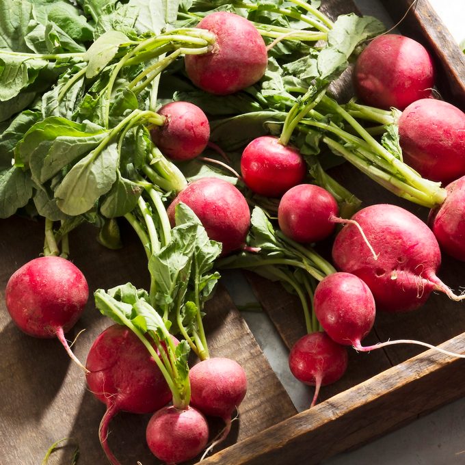 Top 10 Vegetables That Grow in Shade