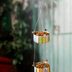DIY Mealworm Feeder for Attracting Bluebirds