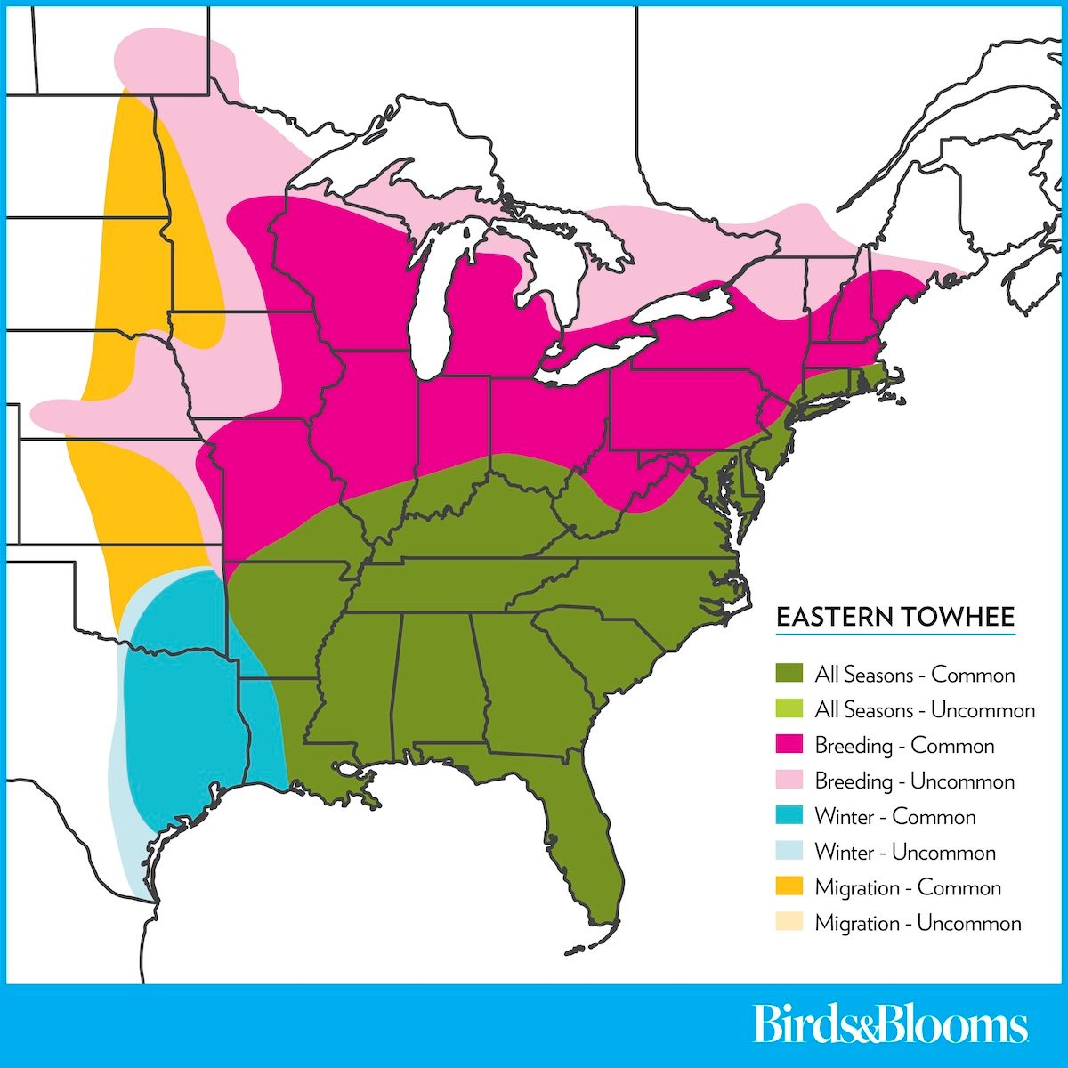 Easterntowhee Rangemap 2025