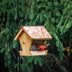 DIY Wood Bird Feeder Project