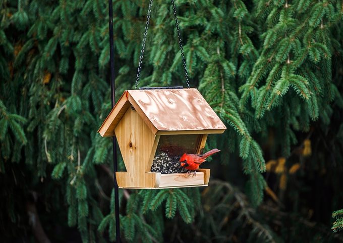 DIY Wood Bird Feeder Project
