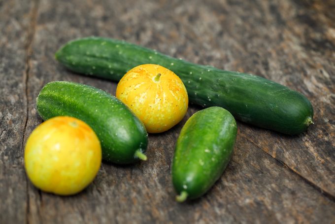 Homegrown Variety of Cucumbers
