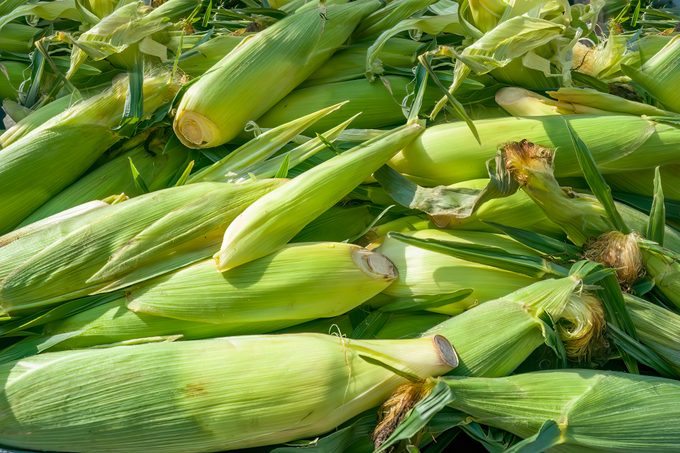 Fresh Sweet Corns in Farmer's Market