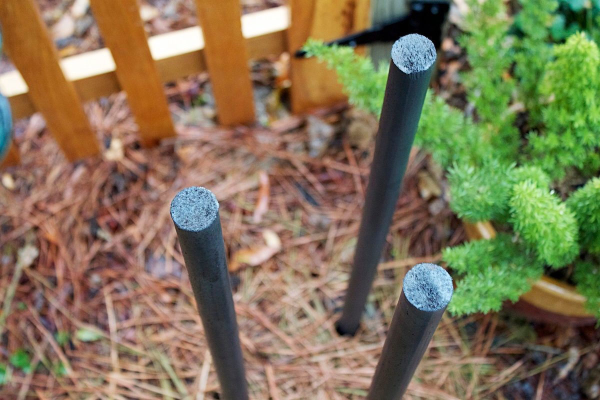 diy homemade bird bath