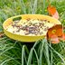 DIY Tomato Cage Birdbath or Bird Feeder