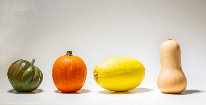 Various Squash Selection; Silo; Low Angle