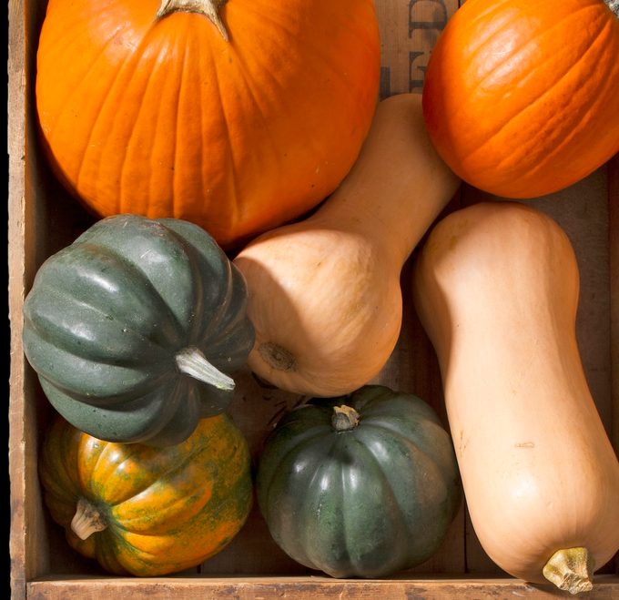 Guide to Growing Squash in Veggie Gardens