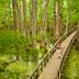 Go Birding in Different Bird Habitats