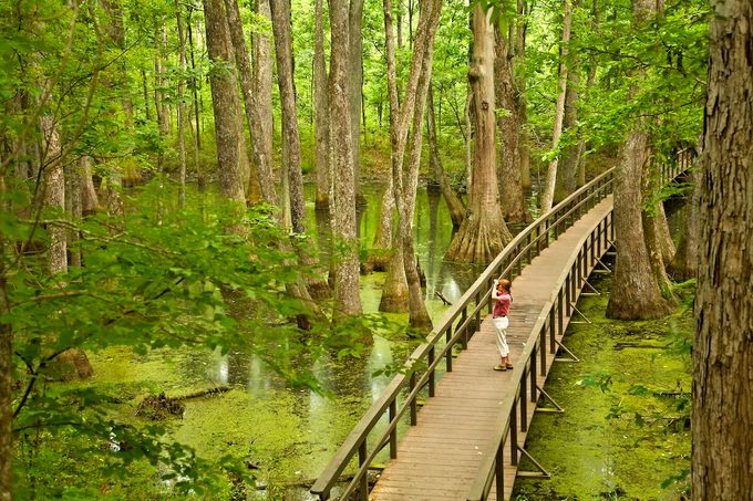 Go Birding in Different Bird Habitats