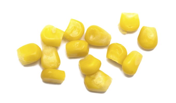 Shutterstock 1127329124