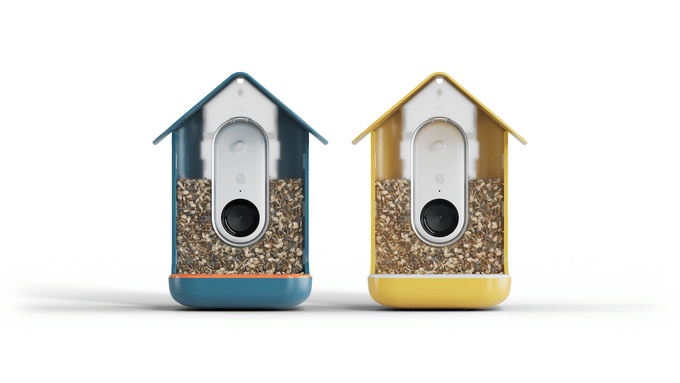 Bird Buddy Product Image 4