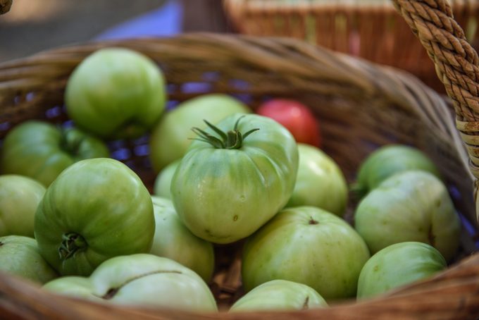 The Best Way to Ripen Green Tomatoes and More Garden Myths Debunked