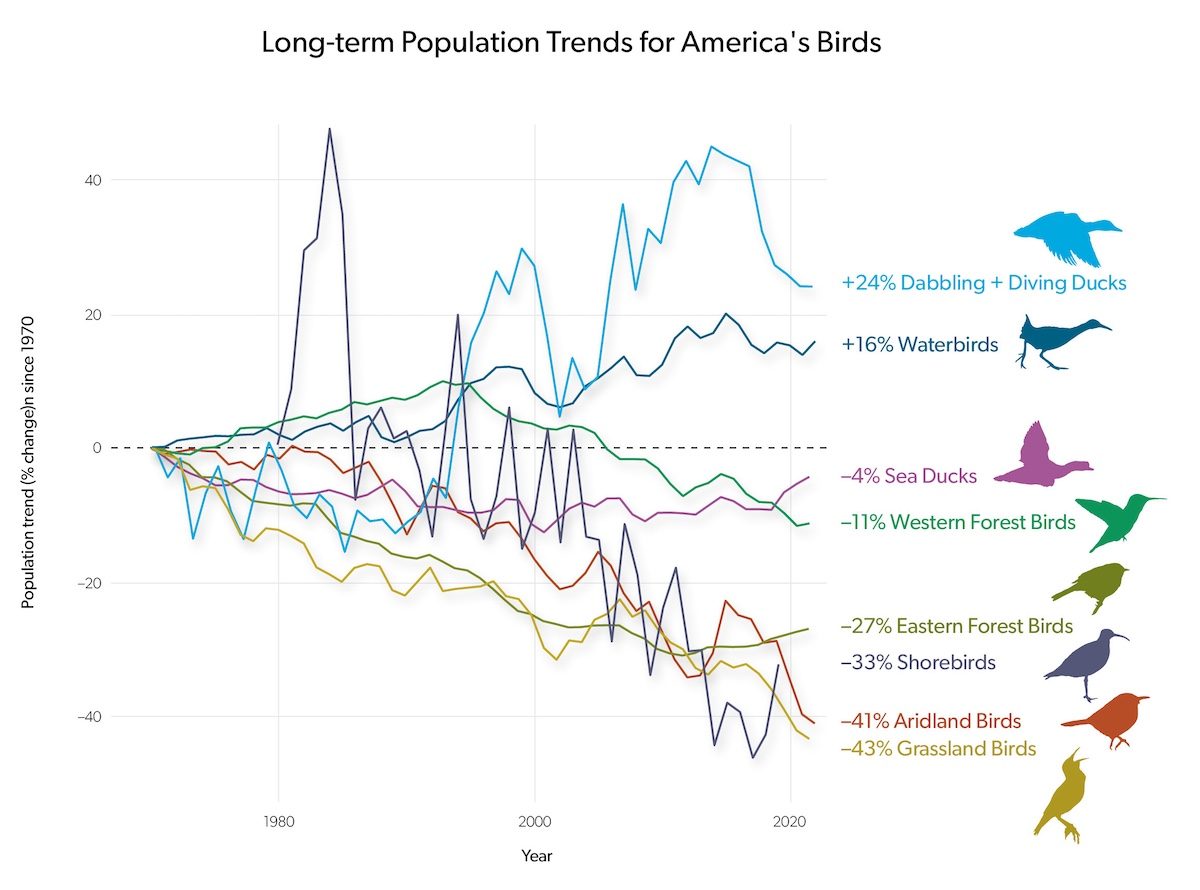 State Of The Birds 2025 Long Term Population Trends, Courtesy Of The Cornell Lab Of Ornithology