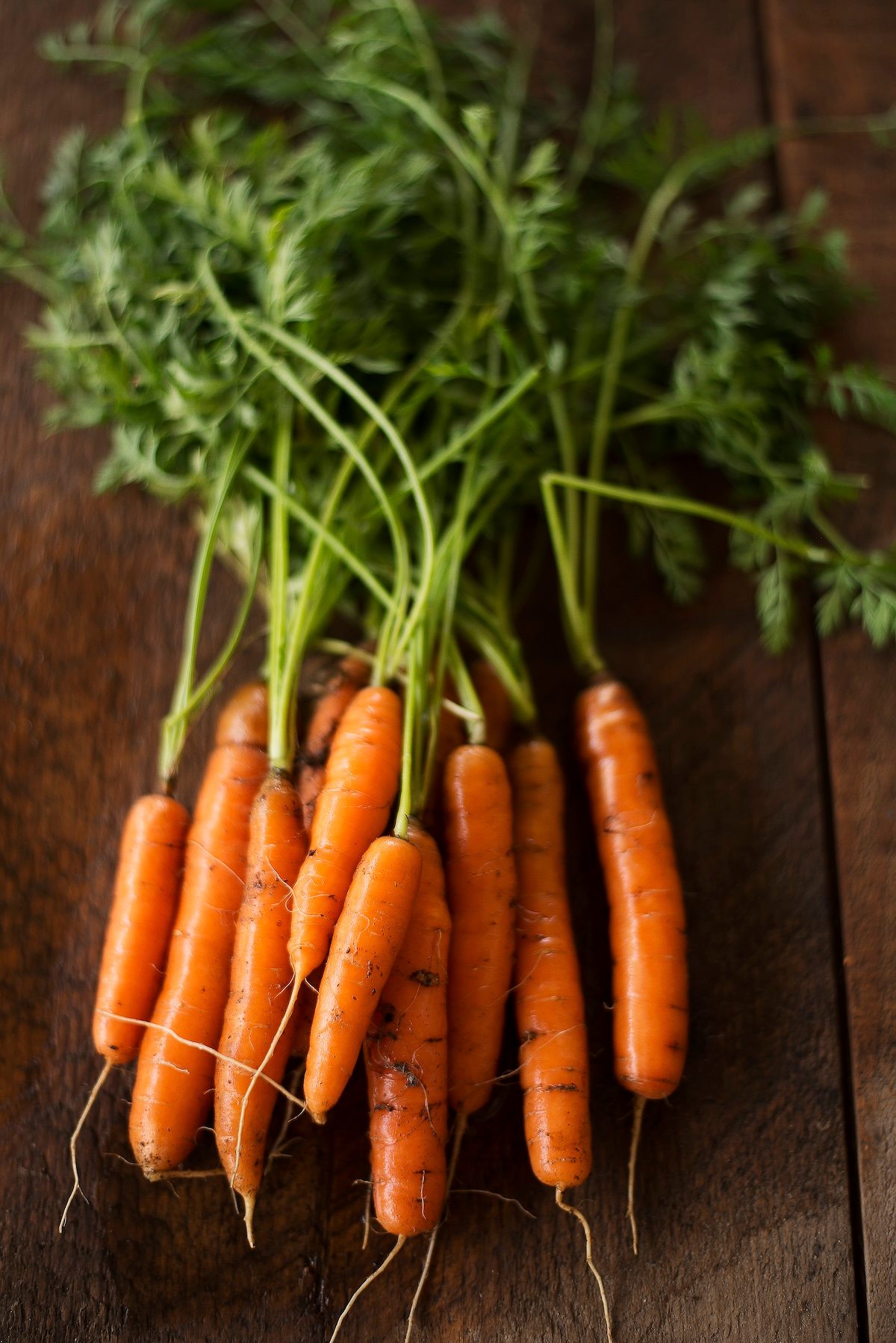 67adelaidecarrot