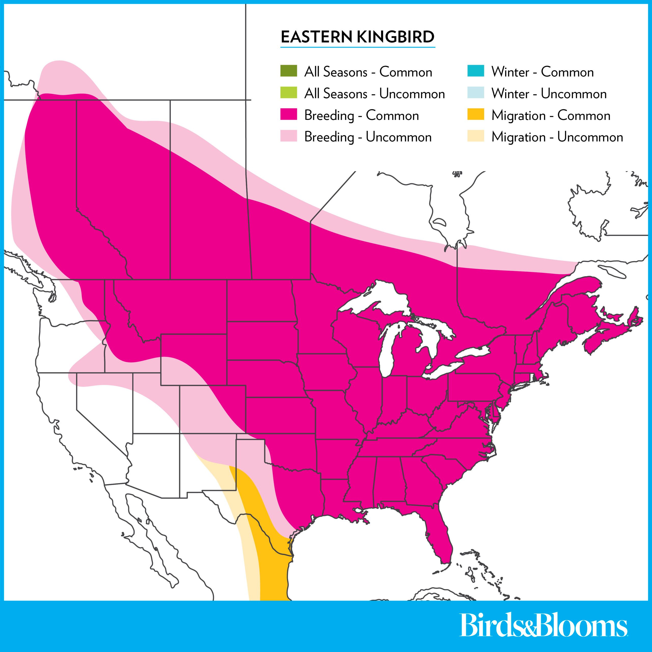 Easternkingbird Rangemap 2025