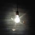 Moth Mystery Solved: Why Are Moths Attracted to Light?