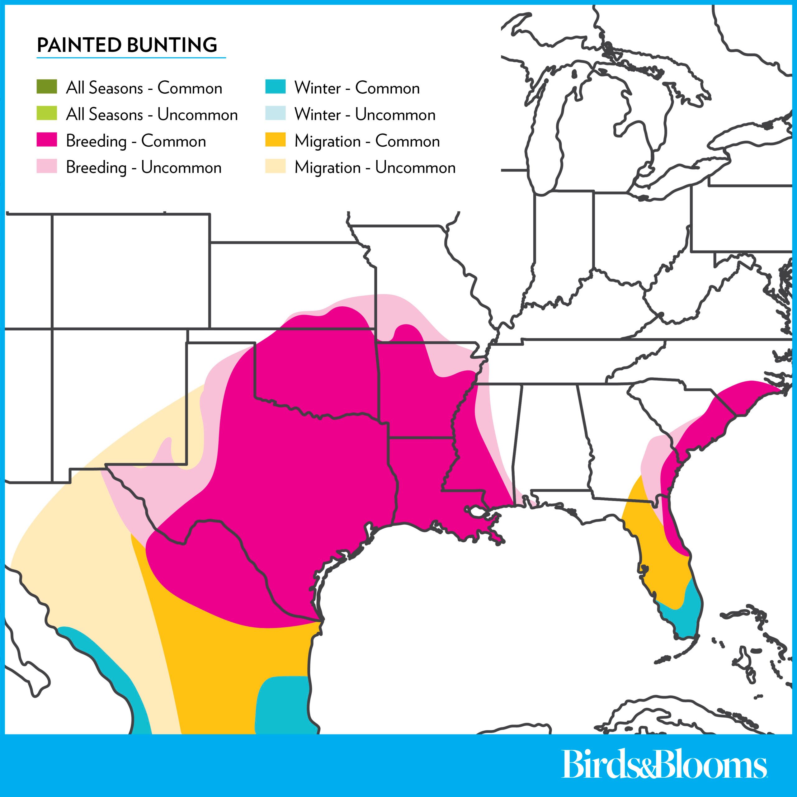 Paintedbunting Rangemap 2025