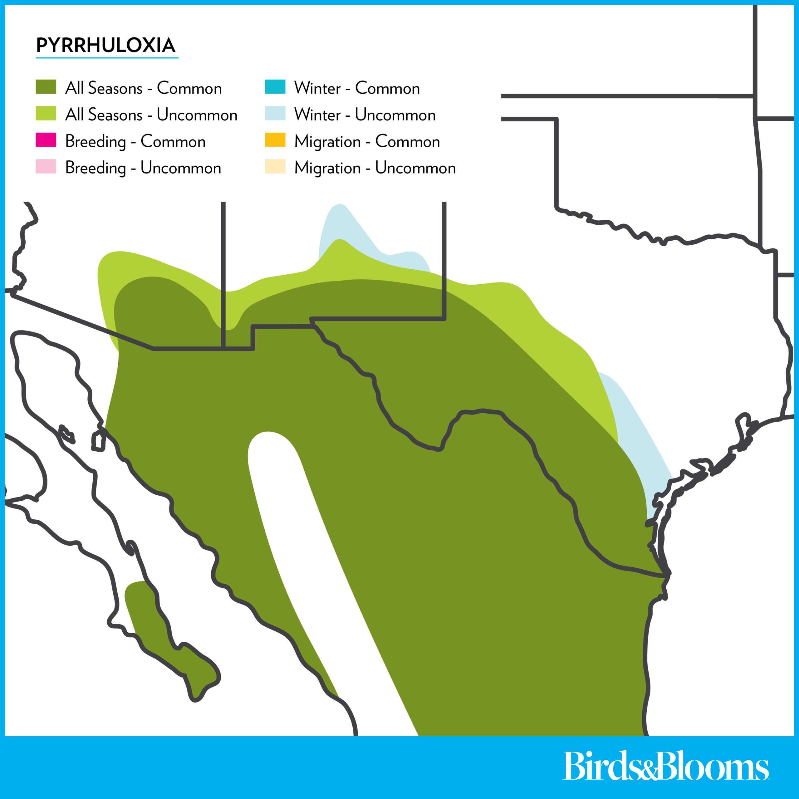 Pyrrhuloxia Rangemap 2025