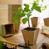 The Ruth Stout Method and More Tips to Garden Greener