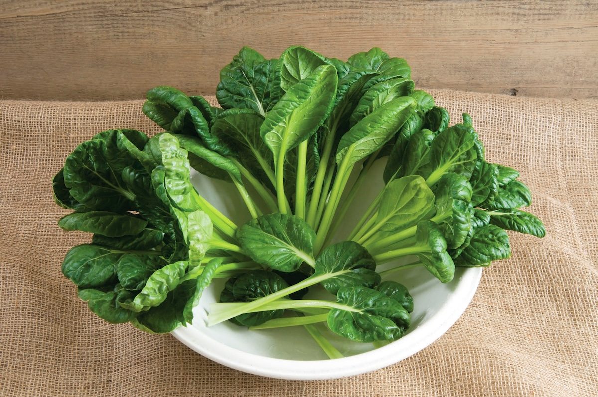 Tatsoi