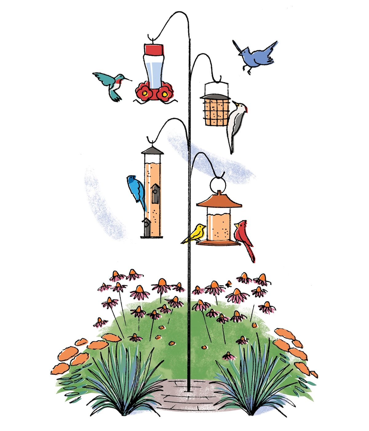 bird feeder landscaping ideas, Feederplantsopenerillo Bbjj25 1