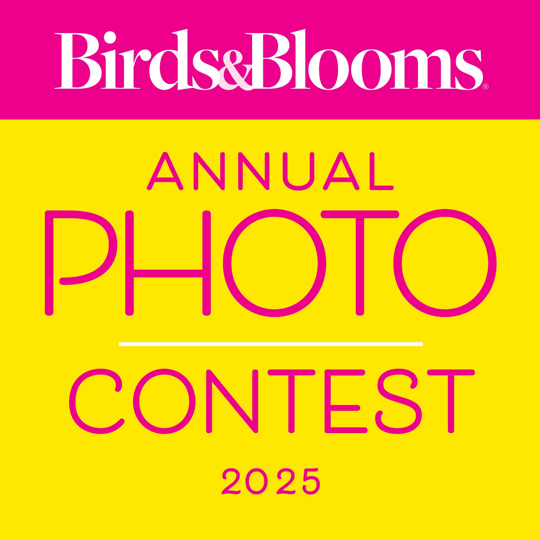 Bnb Photocontestlogo 2025 Web