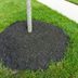 Stop Volcano Mulching — It's Harmful to Your Trees