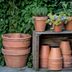 Choose The Right Type of Planter for Your Plant