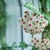 Top 10 Fragrant Indoor Plants to Perfume Your Home