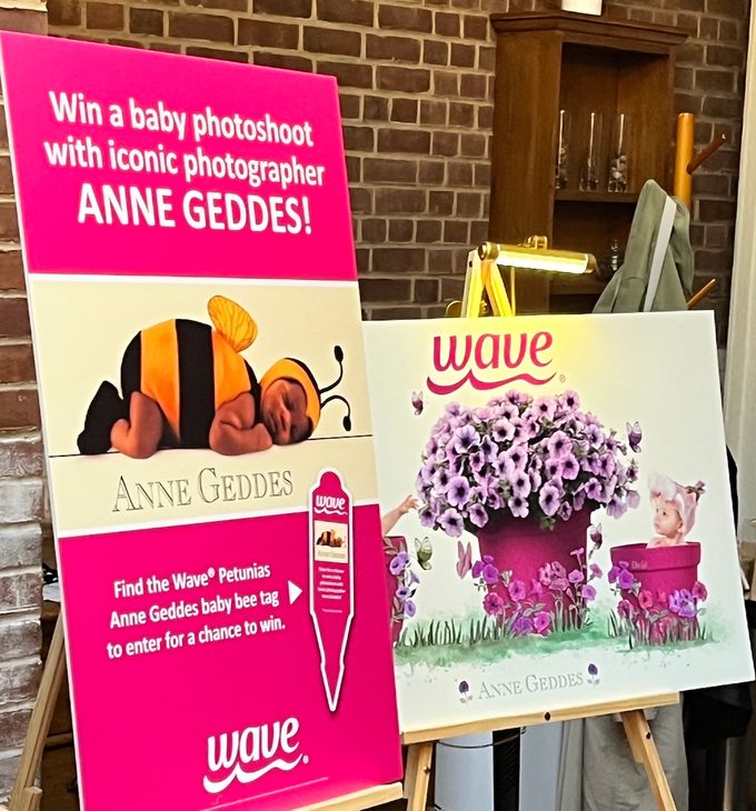 Wave Petunias Launches Anne Geddes Photoshoot Giveaway