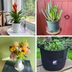 4 Best Gardening Subscription Boxes You'll Love to Open, Tested by Editors